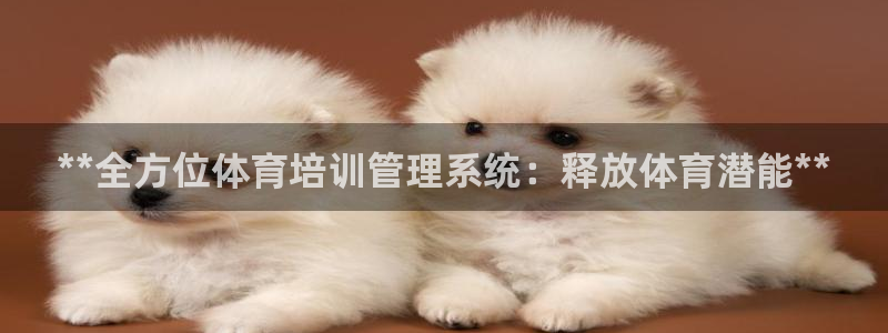 必一体育sport官