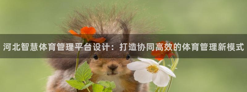 必一体育sportB