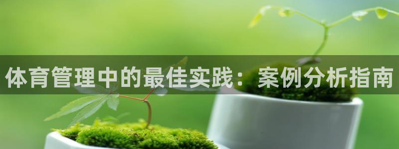必一体育下载app：