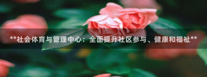 必一体育app官方：