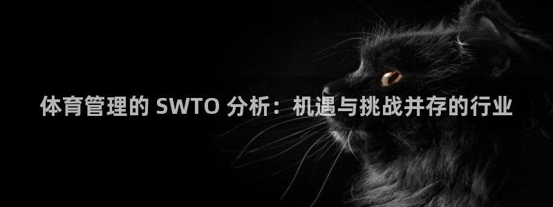 必一体育服下载最新版