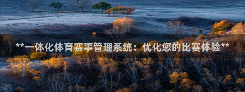 必一体育sport：