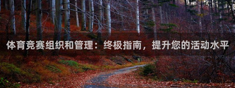 必一体育最新官网入口