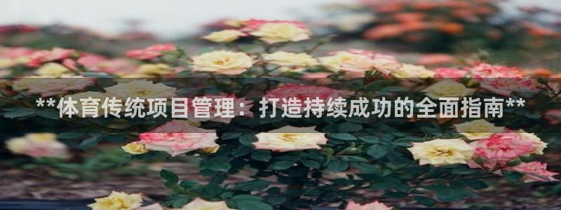 必一体育网页登录版官