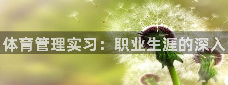 必一体育sport官