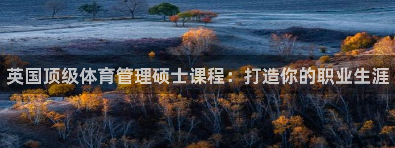 必一体育电子app：