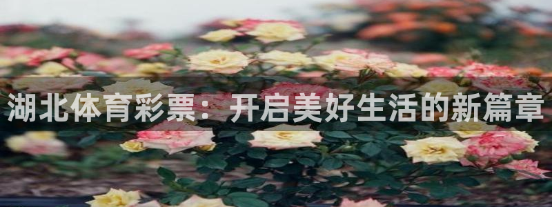 必一体育官方入口：湖