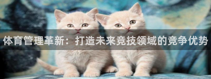 必一体育在线登陆：体