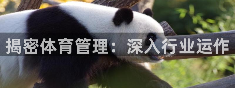 必一运动官网装机吧：