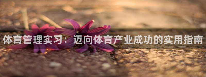 必一体育在哪下：体育