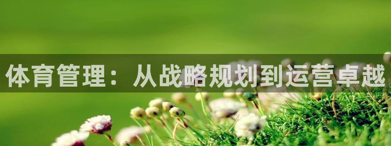 必一体育运动平台官网