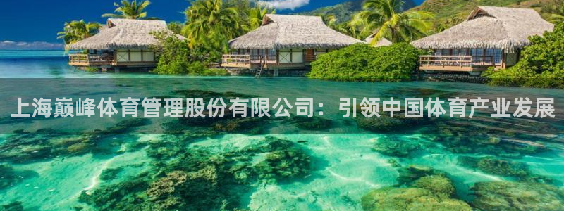 必一体育sport官