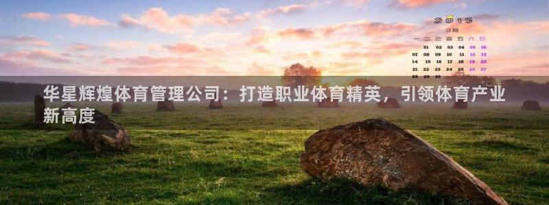 必一运动体育官网下载
