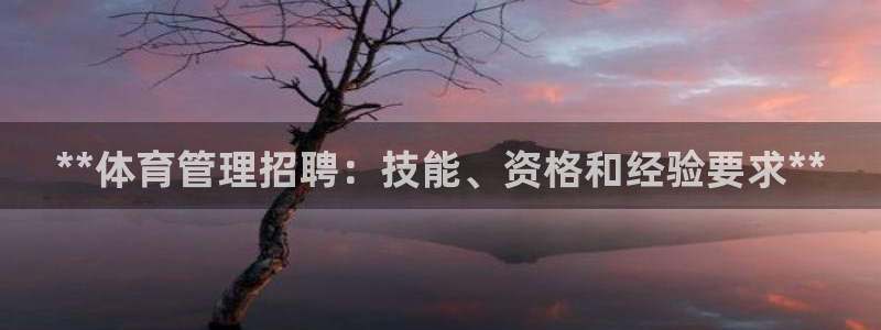 必一运动sport爱