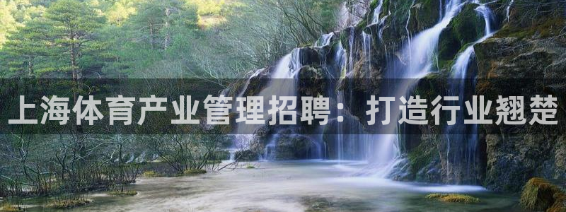 必一运动体：上海体育
