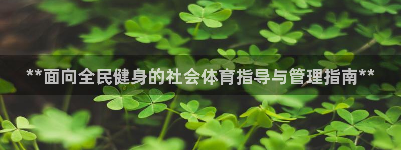 必一体育全站在线登录