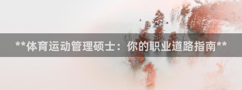必一体育bsport