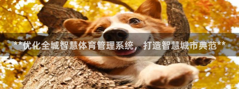 b体育必一运动网页版