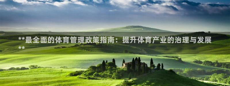 必一体育电子app：