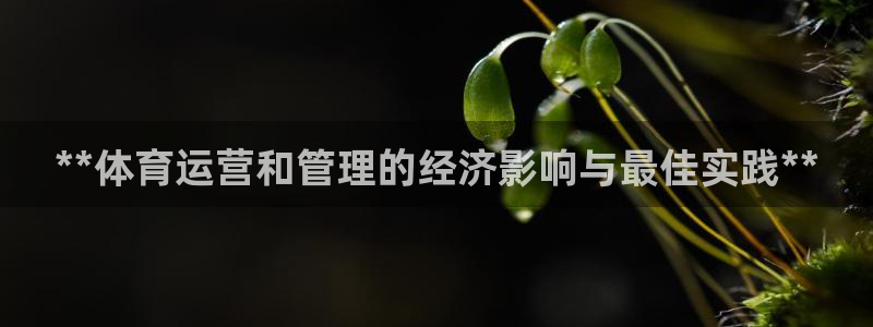 必一体育皮尔斯：**
