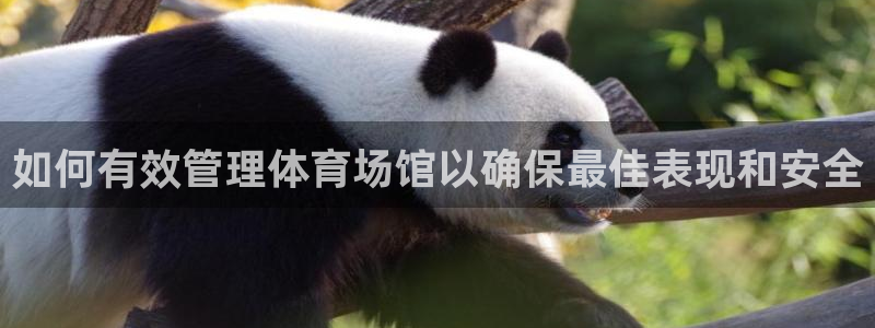 必一体育app平台下