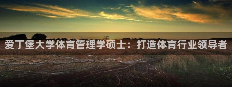 必一体育app平台下