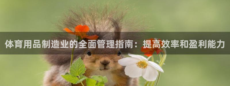 必一体育官网ios下