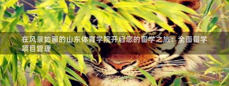 必一体育在线登录：在