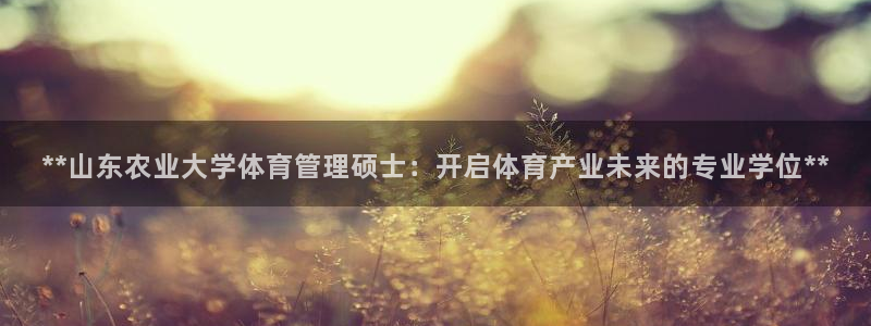 必一体育app官方网