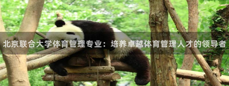 必一体育官网ios下