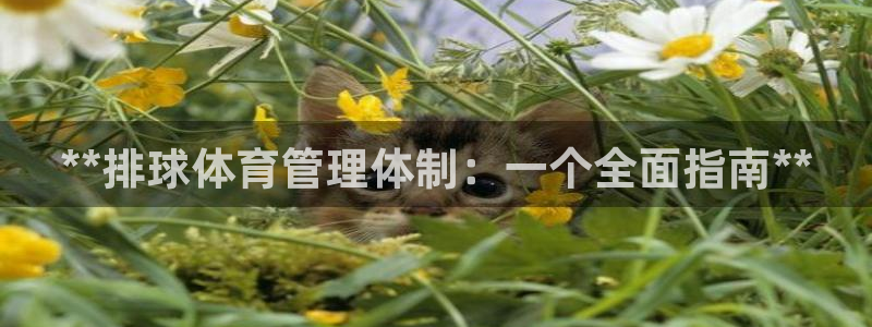 必一体育app官方正