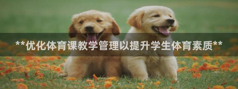 必一体育：**优化体