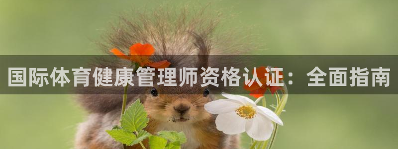 必一体育在哪下：国际