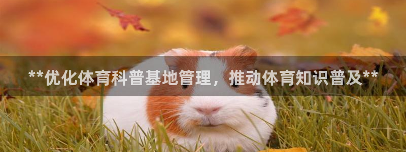 必一体育官方网站入口