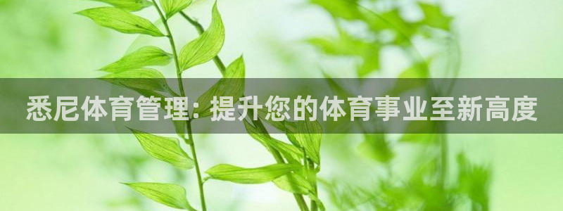必一运动验证码：悉尼