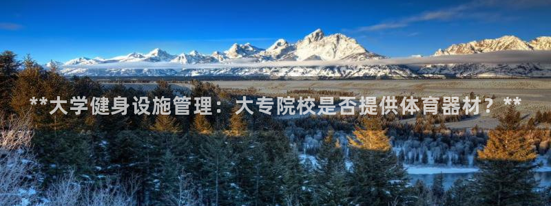 必一体育官方app下