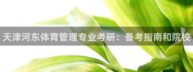 必一体育旧版：天津河
