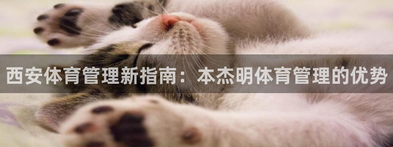 必一体育sport：