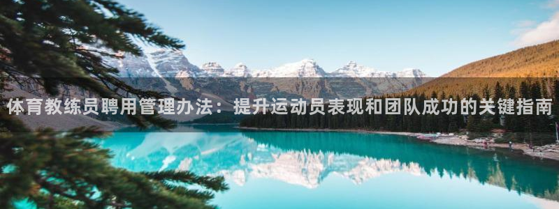 必一体育运动app下