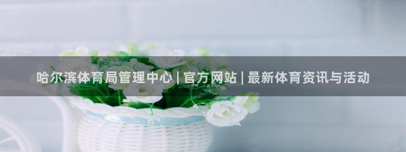 必一运动听的歌：哈尔