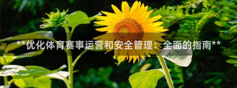 必一运动体：**优化