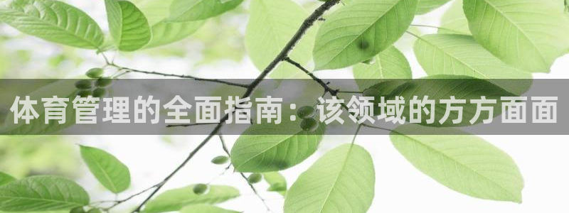 必一体育周公：体育管