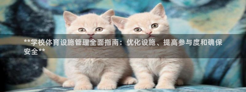 必一体育app下载最