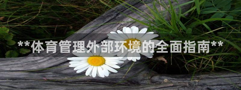 必一体育bsport