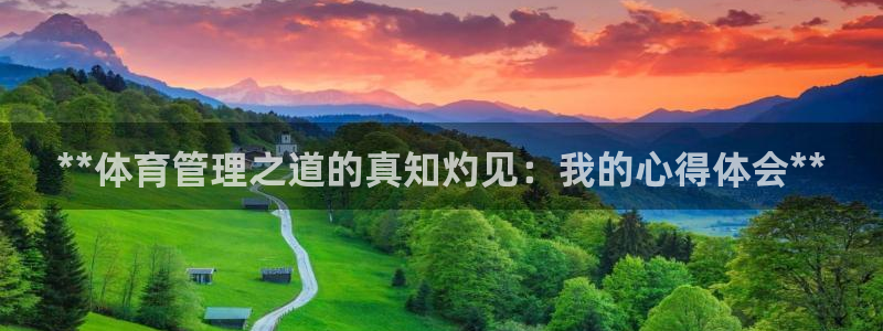必一体育sportB