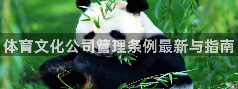 必一体育登录APP下
