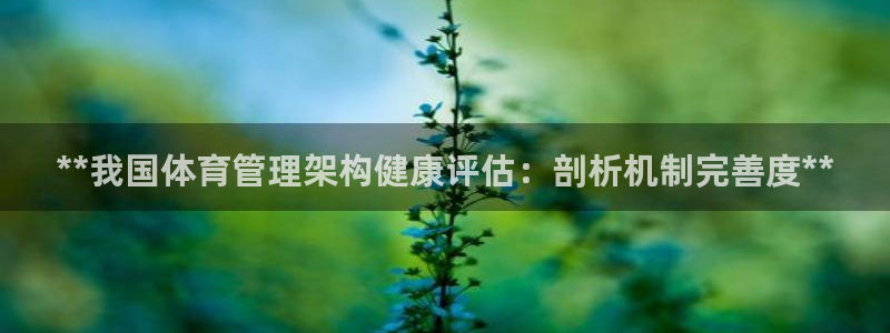 必一运动·(B-Sp