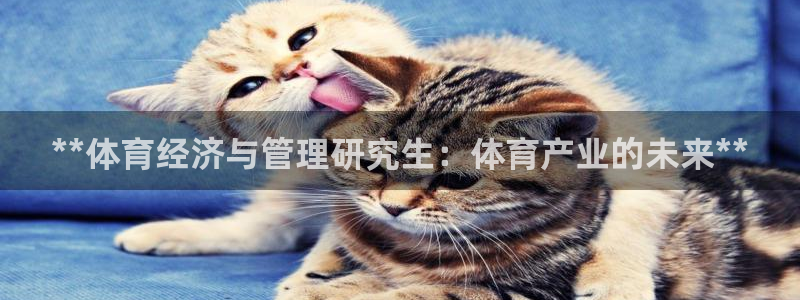 必一运动B-Spor