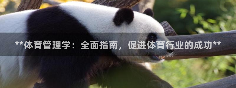 必一体育下载：**体