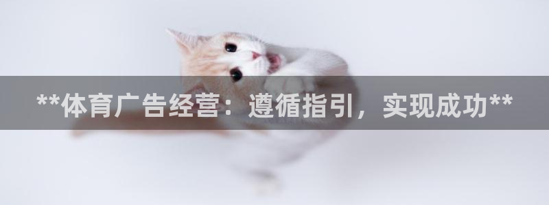 必一体育下载移动版：